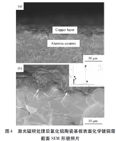 圖4 激光輻照處理后氧化鋁陶瓷基板表面化學(xué)鍍銅層截面SEM 形貌照片