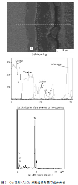 圖９?。茫酰繉樱粒欤玻希?界面處的形貌與成分分析