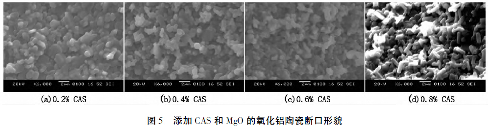 圖5 添加CAS和MgO的氧化鋁陶瓷斷口形貌